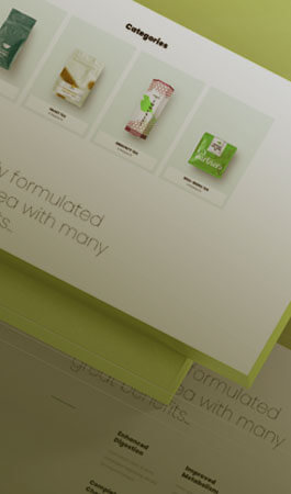 ACME e-commerce project