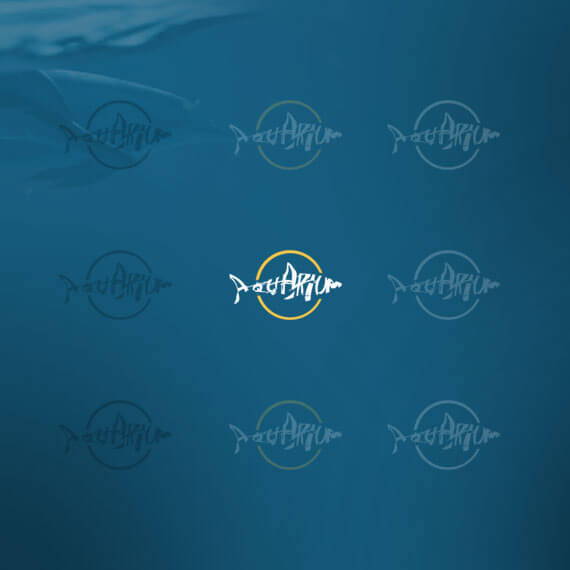 SEO campaign project