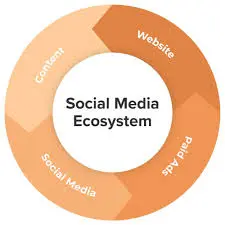 Social media Ecosystem