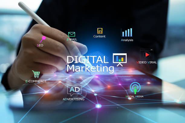 Business professional using digital tablet